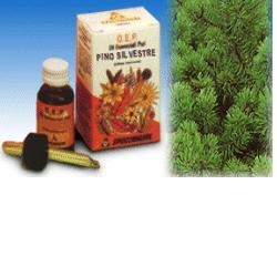 PINO SILVESTRE OLIO ESSENZIALE PURO 10 ML - farmavitality.it