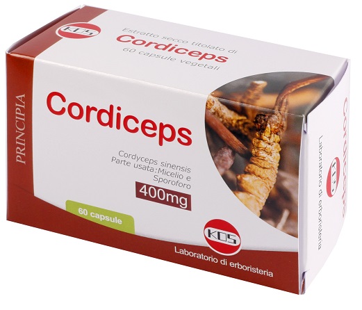 CORDICEPS ESTRATTO SECCO 60 CAPSULE - farmavitality.it