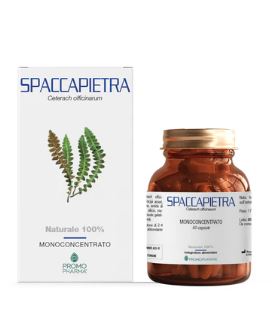SPACCAPIETRA 50 CAPSULE - farmavitality.it