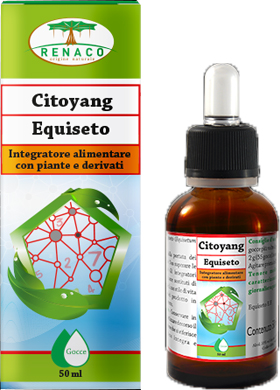 CITOYANG EQUISETO GOCCE 50 ML - farmavitality.it