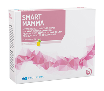 SMART MAMMA 14 BUSTINE GUSTO ANANAS - farmavitality.it
