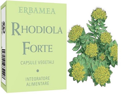 RHODIOLA FORTE 24 CAPSULE - farmavitality.it