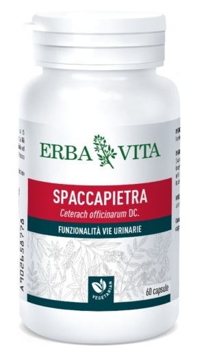 SPACCAPIETRA 60 CAPSULE - farmavitality.it