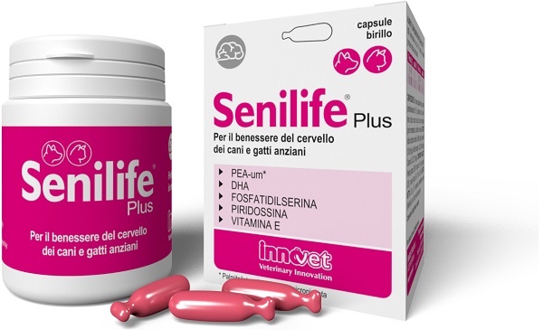 SENILIFE PLUS 30 CAPSULE - farmavitality.it