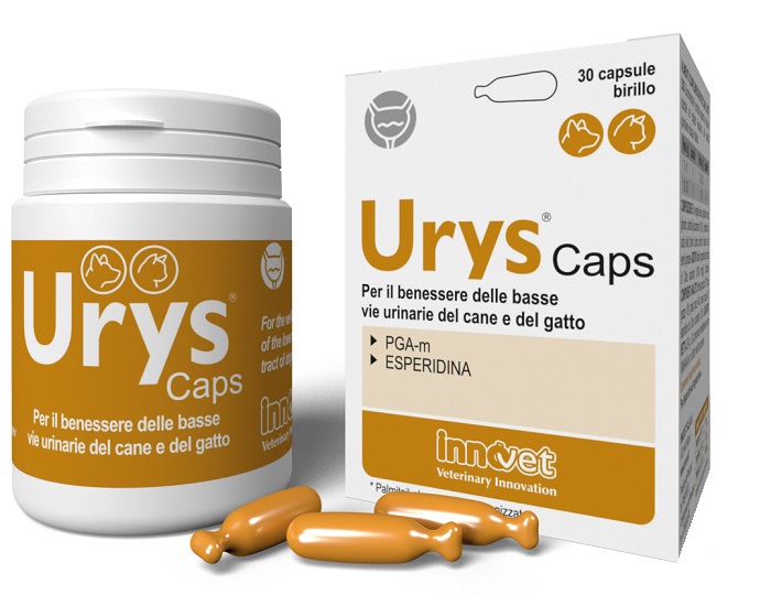 URYS CAPS 30 CAPSULE - farmavitality.it